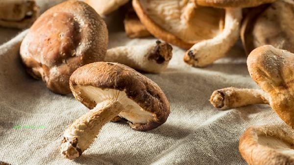 Can mushrooms be eaten if they have some mold