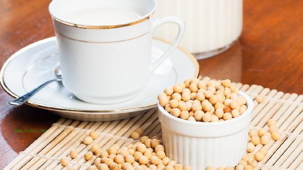 Why is your own squeezed soybean milk dregs