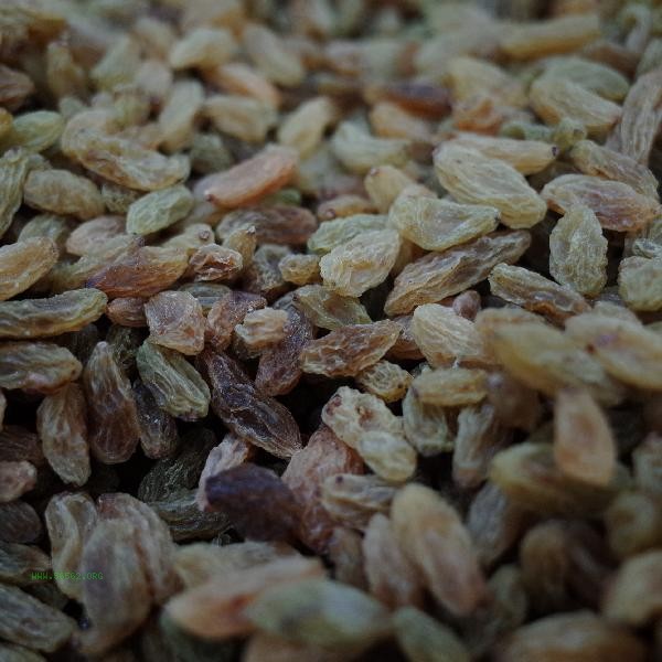 Do raisins need to be washed before eating