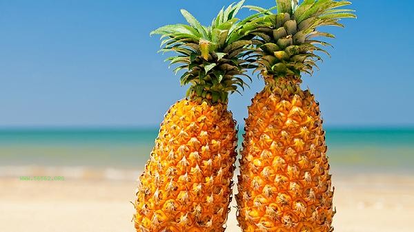What can pineapple peel be cleaned by boiling water