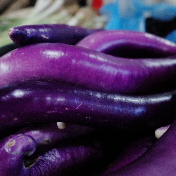 How to preserve sliced eggplants