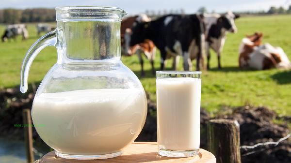 What is Fingerless Milk? Milk