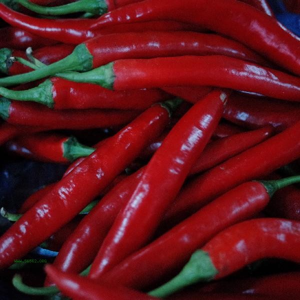 How to make delicious and fragrant Xiaomi chili peppers