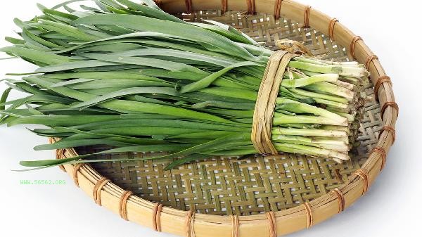 Can chives and onions be stir fried together