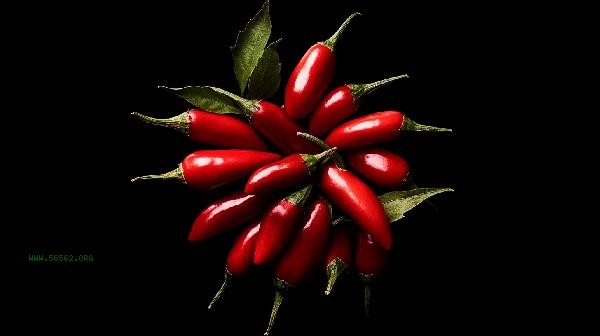 How to preserve fresh chili without spoiling