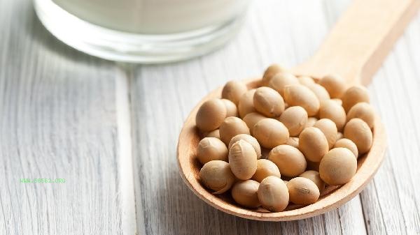What is fake soybean oil blended with