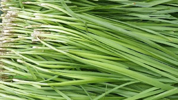 What should I do if I can't get chives stuck between my teeth