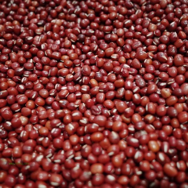 Why can't an iron pot cook red beans