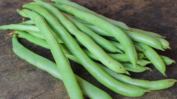 How to preserve green beans and eat them in winter