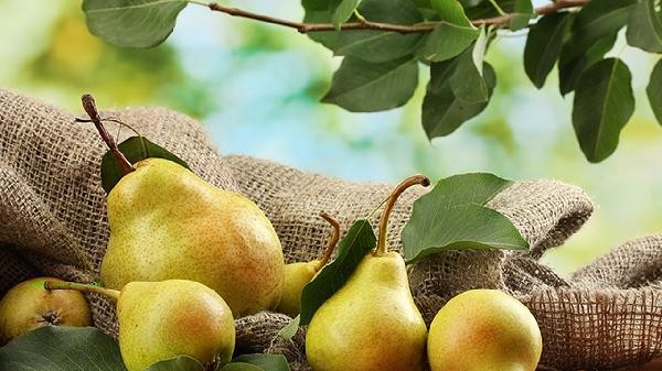 Can fruits be refrigerated in the fridge