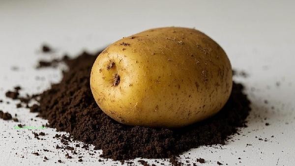 How to store peeled potatoes