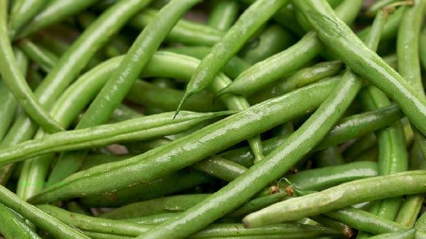 How to store white beans for a long time
