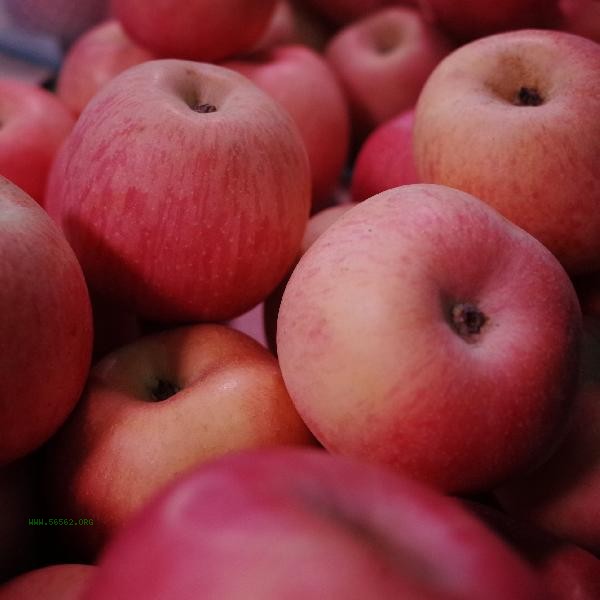 How to store apples after peeling