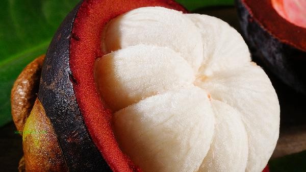 How to choose bamboo with more meat