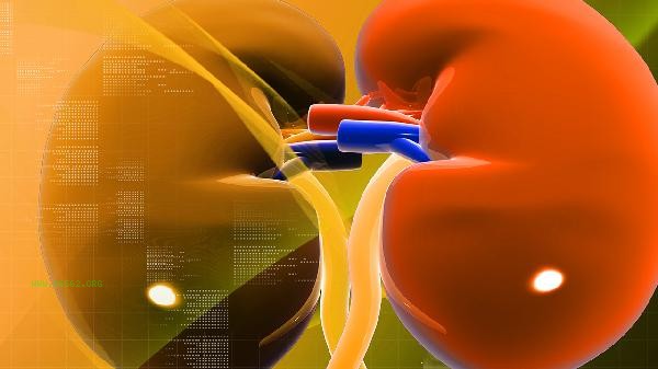 Which DHA or EPA is harmful to the kidneys