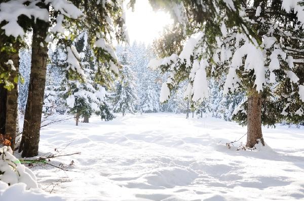 What is the best way to do winter health preservation? These are the things to pay attention to during winter health preservation