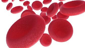 The risk level of Omicron transmission is very high. Will Omicron spread widely around the world