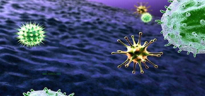 What are the characteristics of novel coronavirus? COVID-19 has three main characteristics