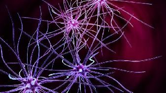 How long is the incubation period of COVID-19? What are the serious symptoms after COVID-19 infection