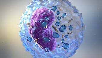 What are the symptoms of COVID-19 infection? These symptoms are at risk of infection
