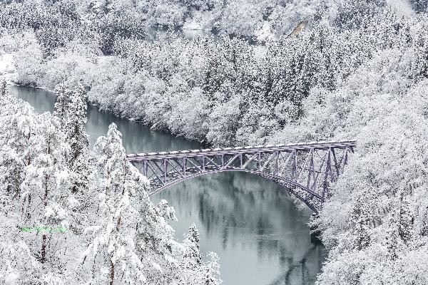 Winter Lung Nourishing and Moisturizing Therapy