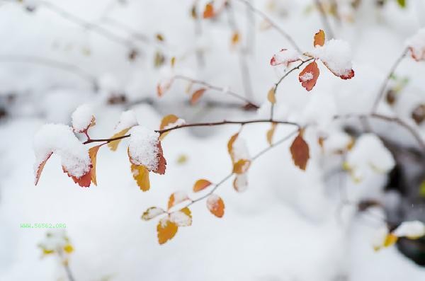 Do we need to supplement calcium and zinc for children in winter