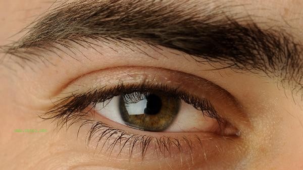 Can a 65 year old person have double eyelids