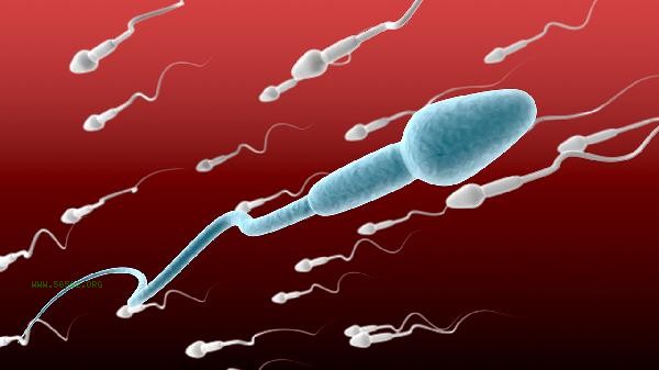 Can non liquefied sperm also become pregnant