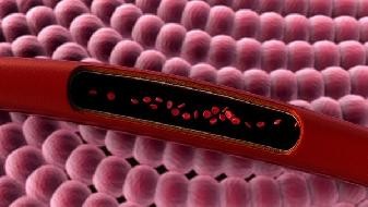 Uncover ten mysteries of the COVID-19