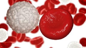 When is the end of the COVID-19 epidemic expected