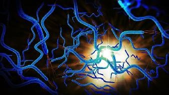 What does a health code turning red mean? Does a health code turning red require quarantine