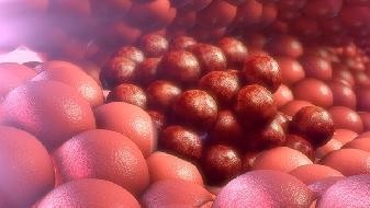 What are the symptoms and symptoms of asymptomatic COVID-19? What are the early symptoms of asymptomatic infected people