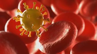 What is the COVID-19 variant? What is the COVID-19 variant number and name