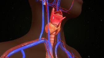 What is false positive of COVID-19? How to deal with false positive of COVID-19