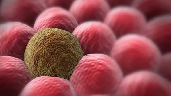 What is the meaning of negative serum antibody of COVID-19? How to prevent COVID-19