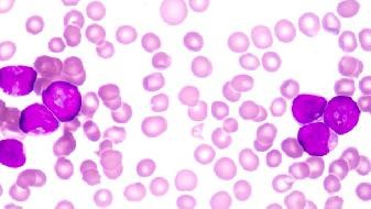 Why does COVID-19 mutate faster than COVID-19