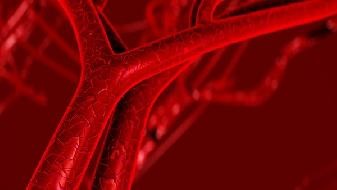 More than 10 countries found a variant of COVID-19 COVID-19 and added another member of "Ramda virus strain"