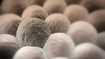 How long COVID-19 can survive at room temperature is related to the prevention effect