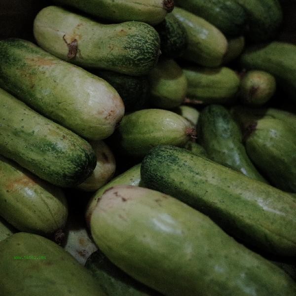 How to make cold cucumber salad? It's delicious and easy to lose weight