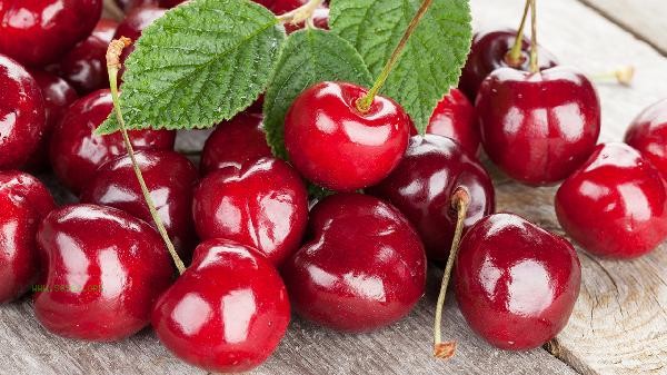 What are the foods and fruits that help with weight loss
