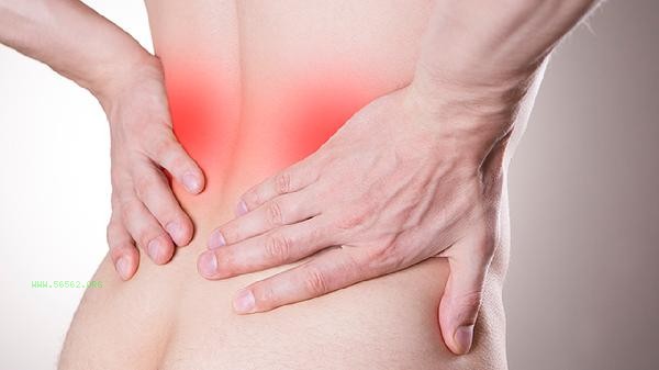 How to enhance the toughness and strength of the waist muscles