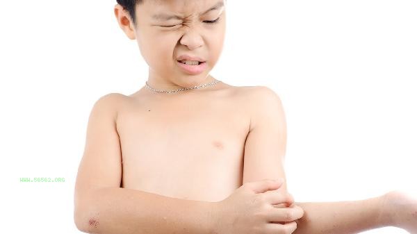 How to exercise arm muscles and arm strength