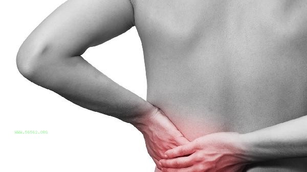 What are the training methods for strengthening the waist muscles