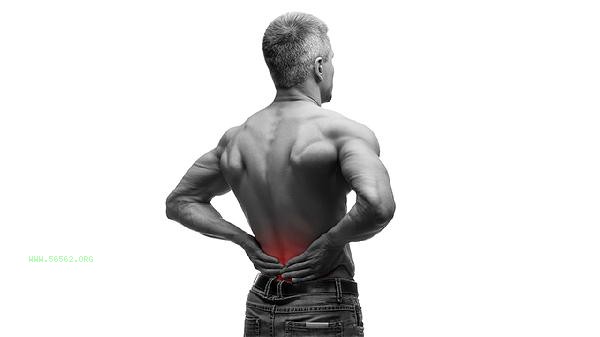 What is the most effective way to exercise the waist and abdominal muscles