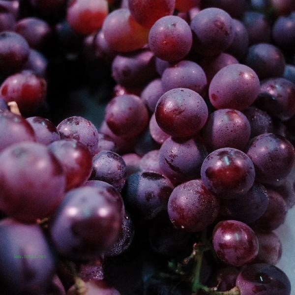 How to transport grapes so they won't spoil