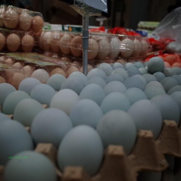 How to transport eggs without rotting