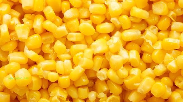 Which is more suitable for weight loss, glutinous corn or sweet corn