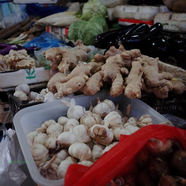 Can ginger honey be consumed for a long time