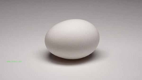 What is the minimum temperature for storing eggs
