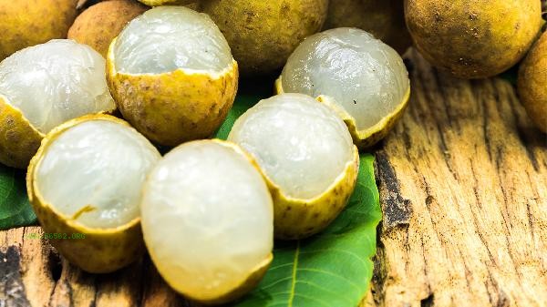 How many days can longan be stored at room temperature